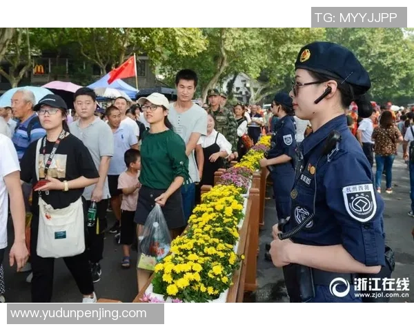 杭州极限运动队实力深度解析与全面对比分析