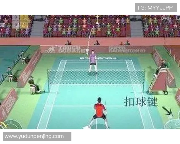 科学羽毛球速度训练的有效方法与技巧提升运动表现的全面指南